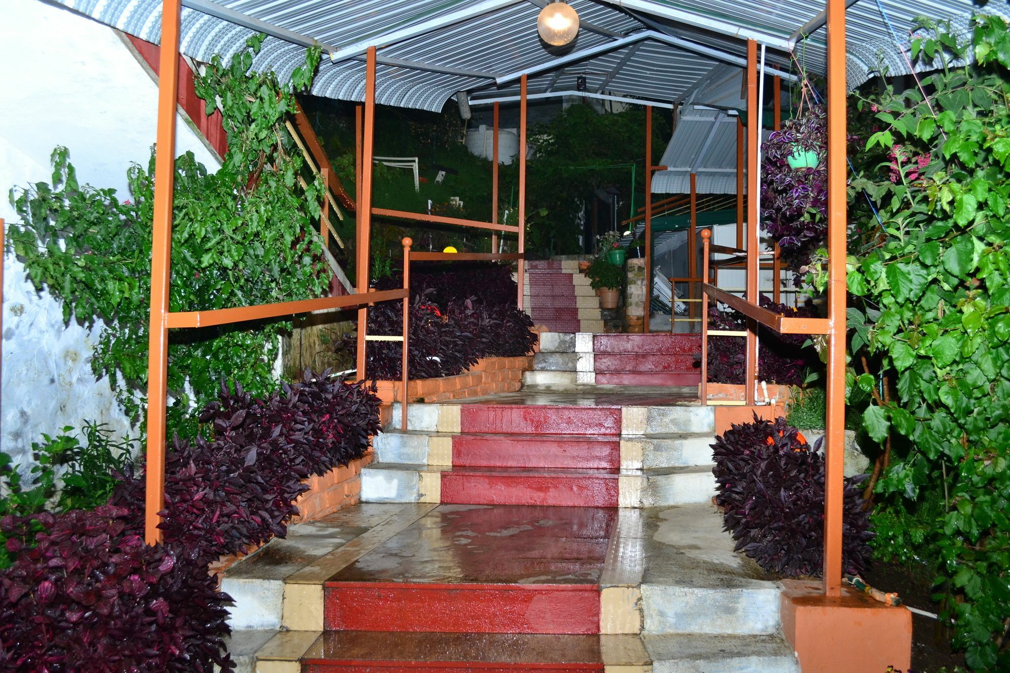 Kodai Sunshine Resort Кодайканал Екстер'єр фото
